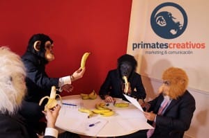Primates Creativos trabajando